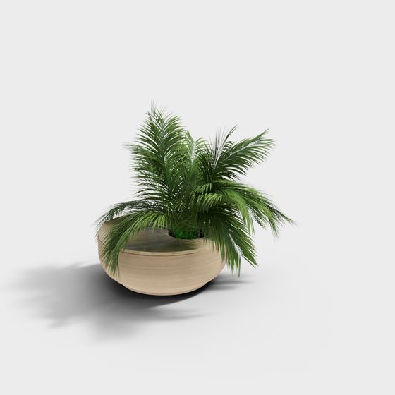 Stylish Low-Poly Palm Tree and Planter 3D model