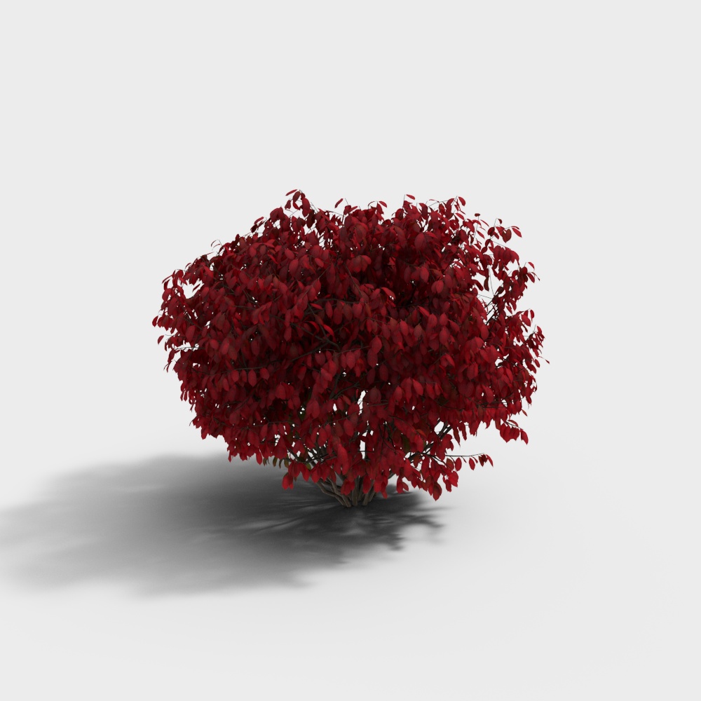 Modern bush green plant-10