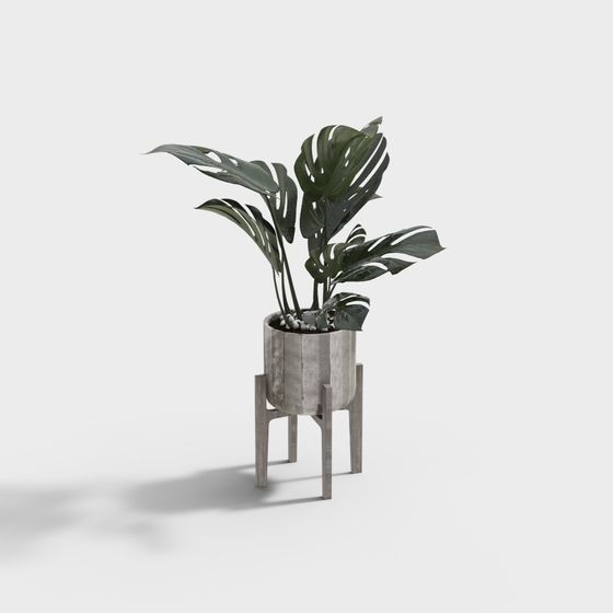 Concrete Plant Stand 3D Model for Modern Interiors