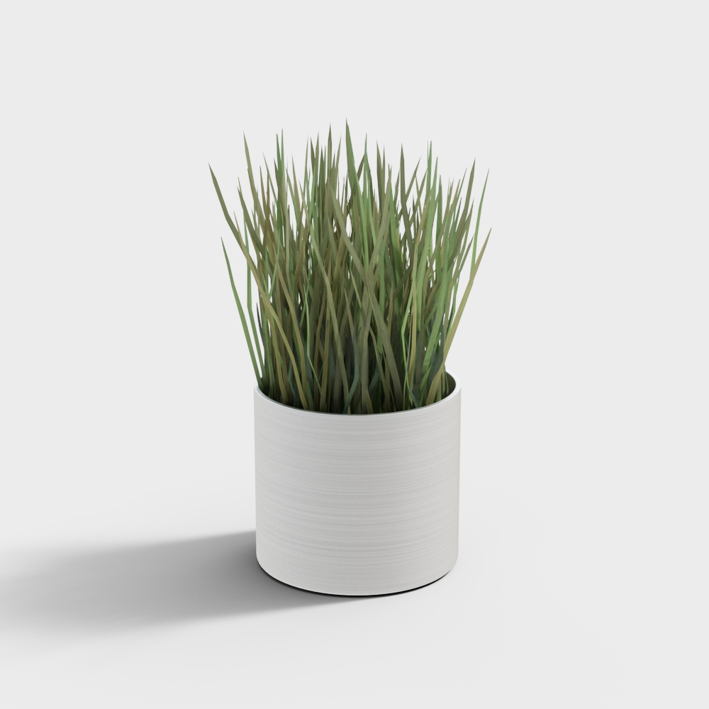 Grüne Pflanze Schaukel