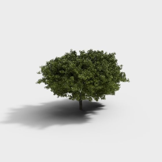 Realistic Low-Poly Oak Tree 3D Model