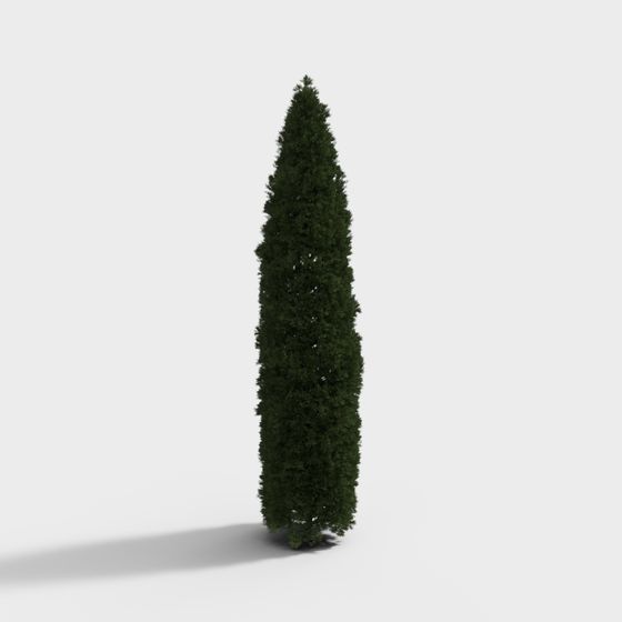 Forest Guardian 3D model - Stunning Evergreen Tree