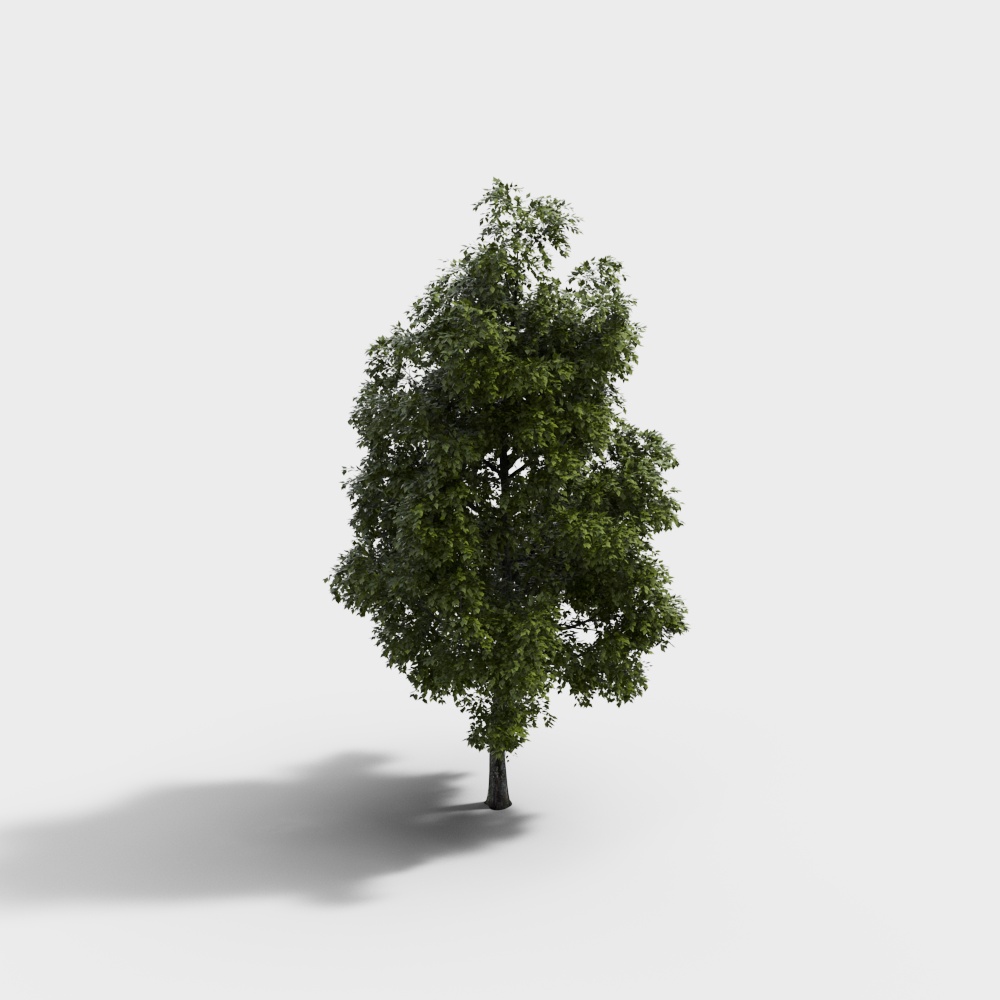 Vibrant Oak Tree 3D Model