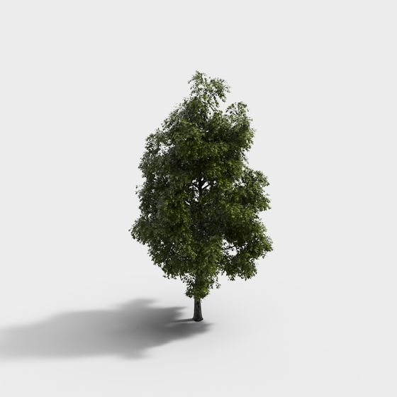 Vibrant Oak Tree 3D Model