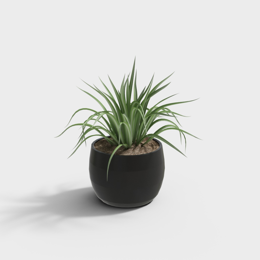 Combinazione di Piante Verdi Moderne in Vaso 349884-1