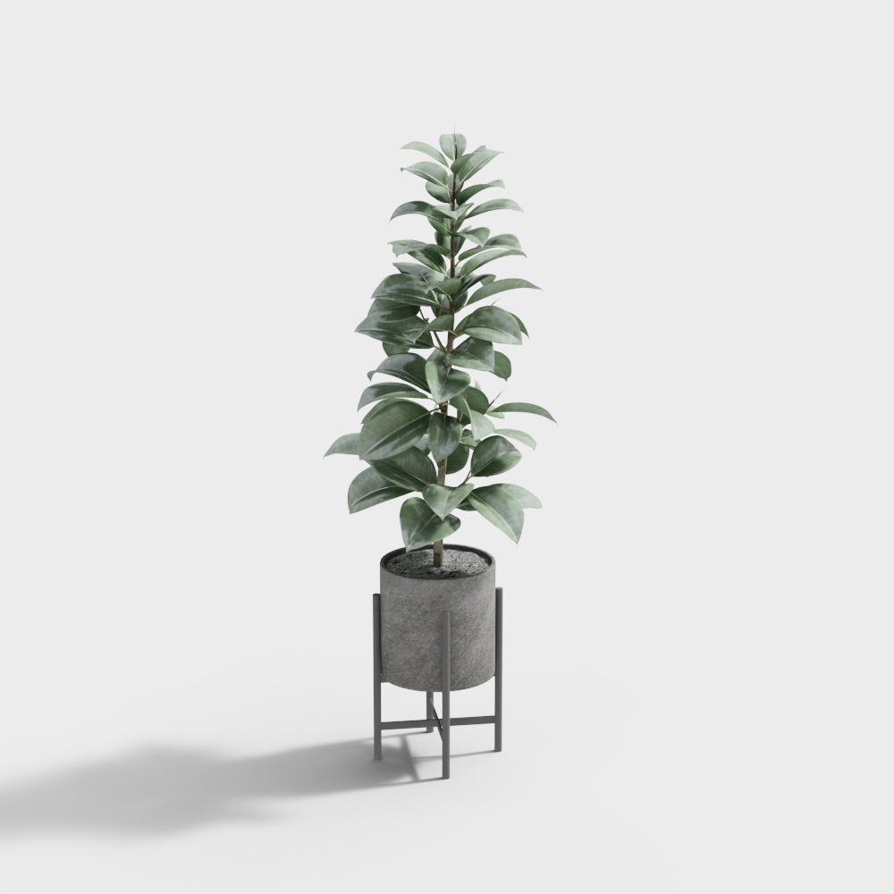 WB192180 green plant