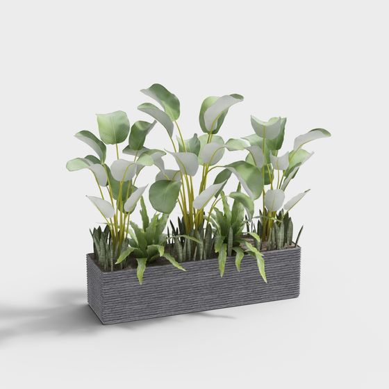 зеленые растения