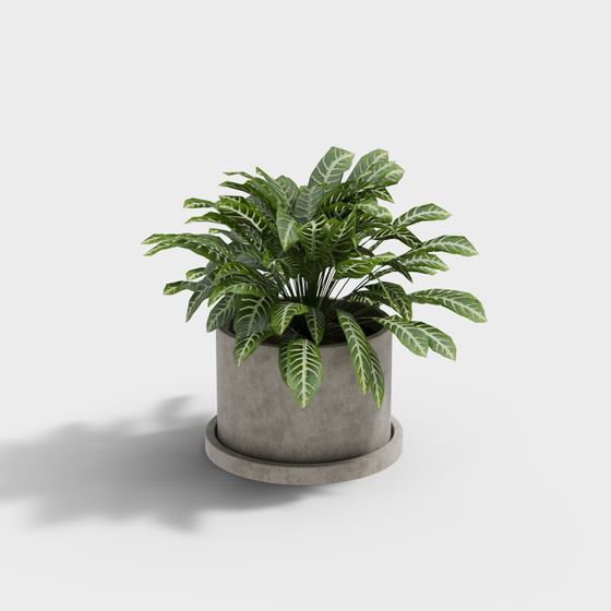 Stylish Concrete Planter 3D Model