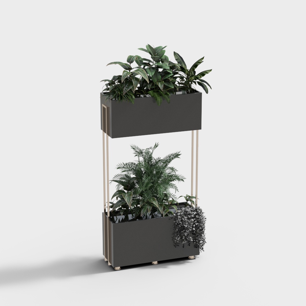 Piante Verde in Vaso Moderne