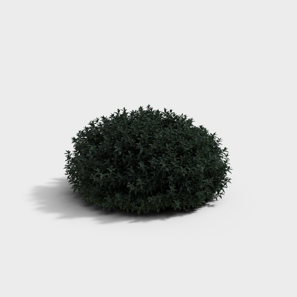 Vibrant 3D Bush Model for Creative Projects
