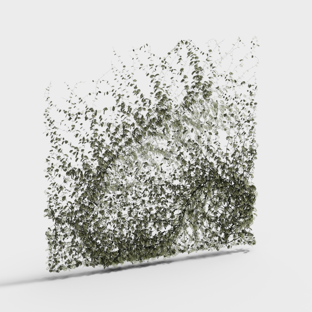 Parete Verde Moderna 1-2