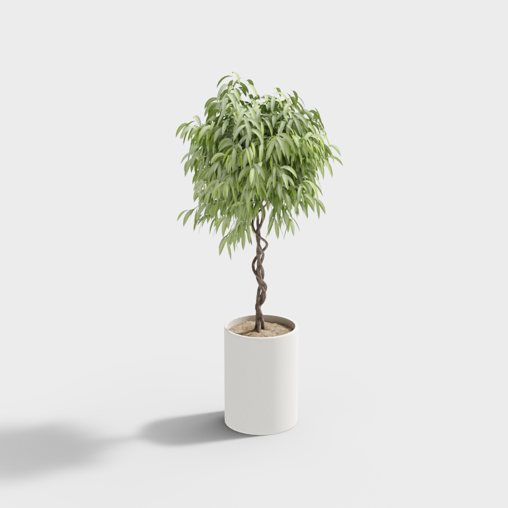 balcony plant potted green plant combination 176806-17