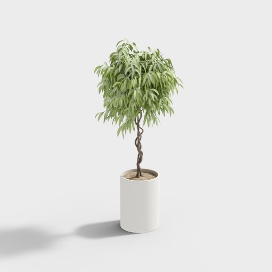 Lively 3D Plant Model for Creative Projects