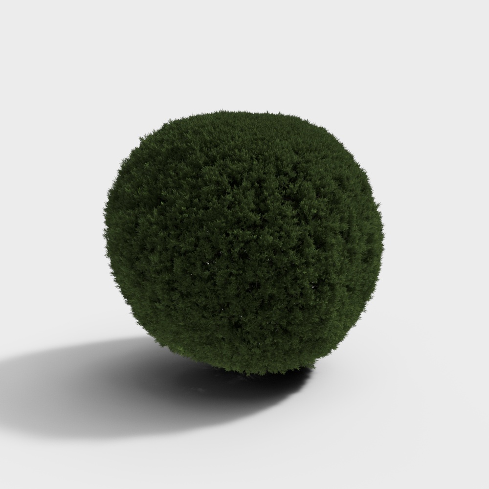 Arbustes verts modernes