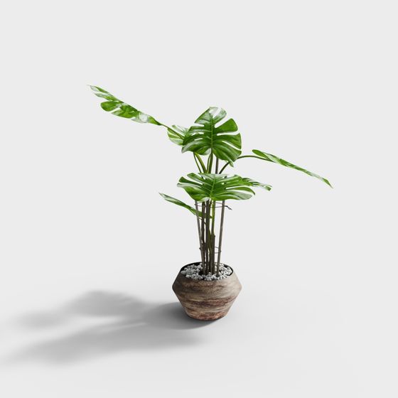 Realistic Indoor Plant 3D Model