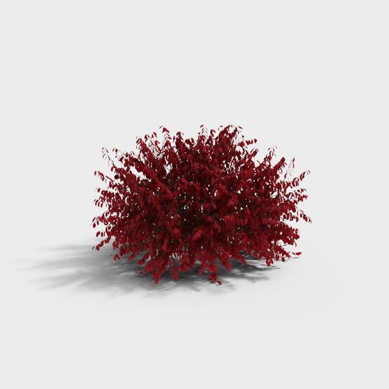 Vibrant Red Leaf Shrub 3D model