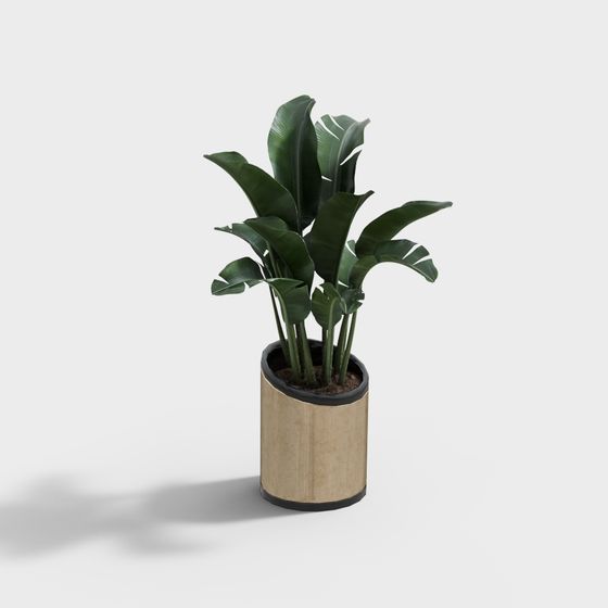 Tropical Potted Plant 3D Model for Creative Projects