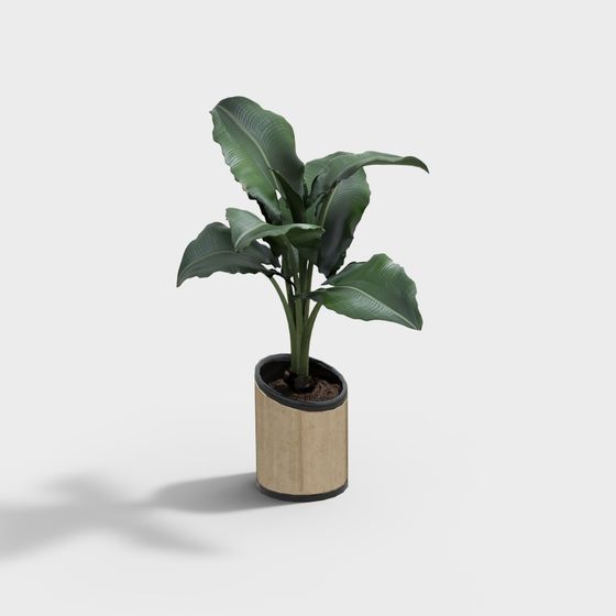 Low-Poly Indoor Potted Plant 3D Model