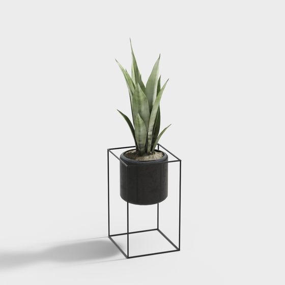 Elegant Indoor Plant 3D model for Creative Spaces