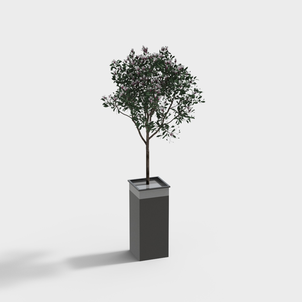 City Oasis 3D Model – Elegant Low-Poly Tree