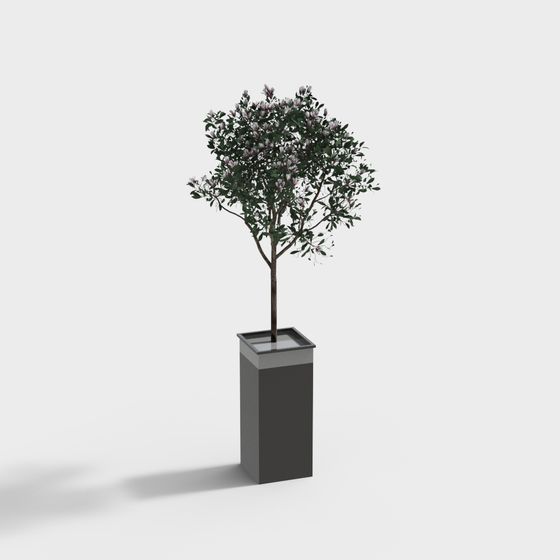City Oasis 3D Model - Elegant Tree for Creative Projects