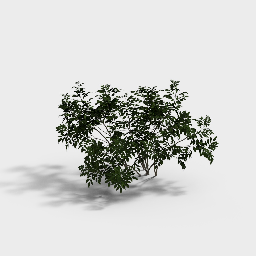 Modern Green Shrub 2-Green Plant 4