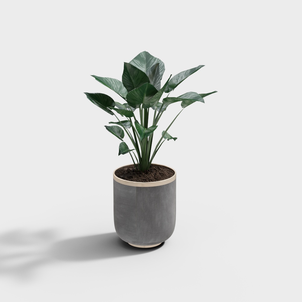 พืชและพืชสีเขียวทันสมัย