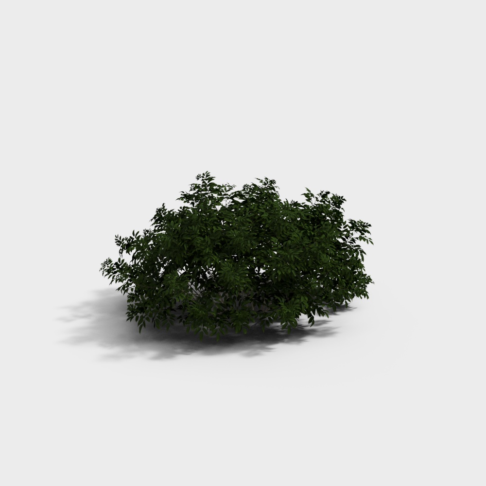 Modern Green Shrub 2 - Green Plant 3