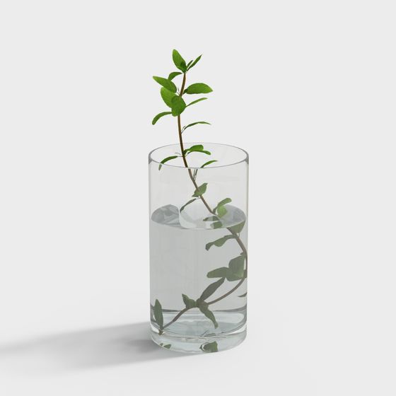 Realistic Hydroponic Plant 3D model