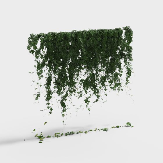 Mur de Plantes Vertes