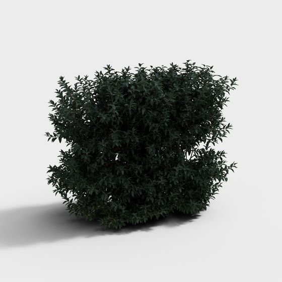 Realistic Low-Poly Shrub 3D Model for Designers