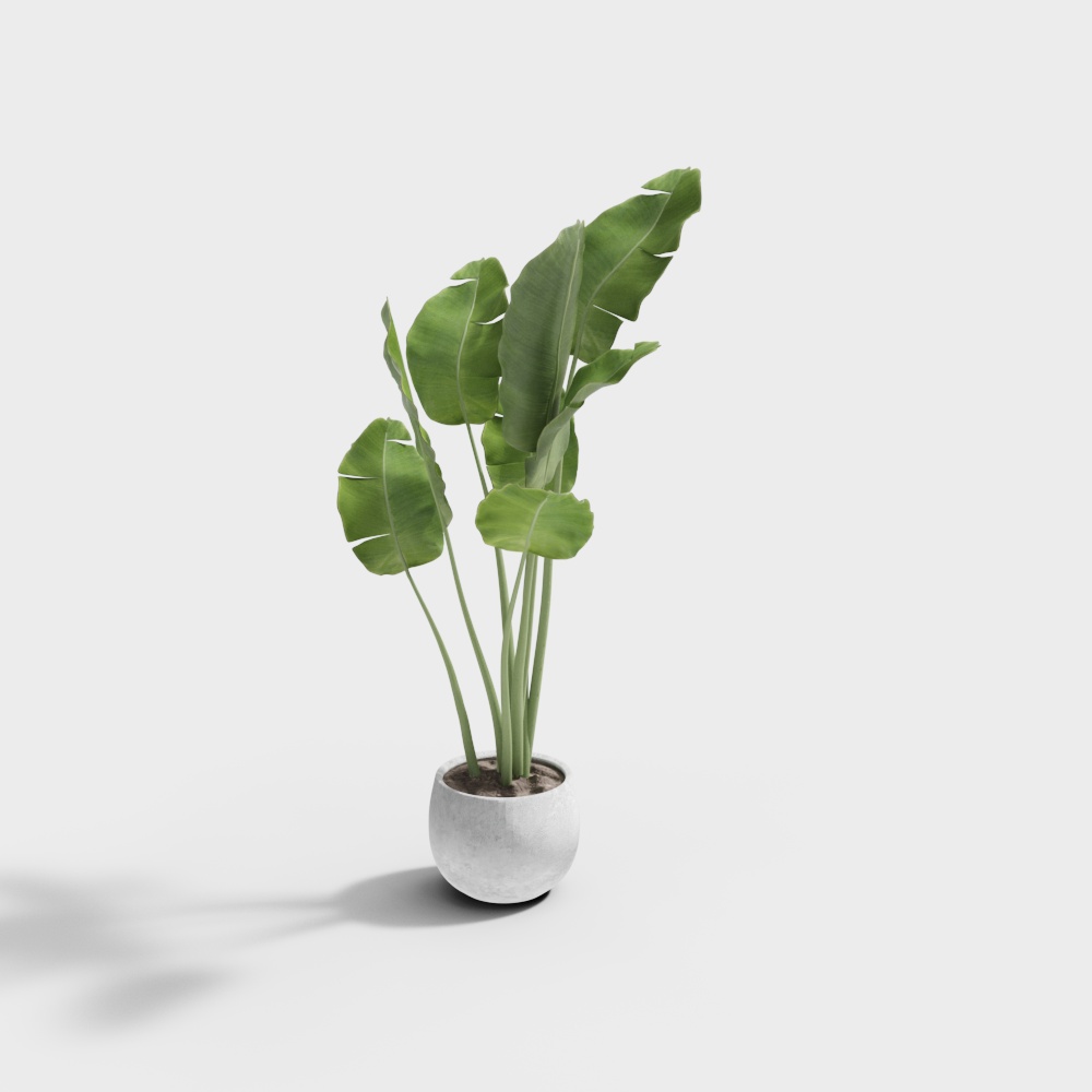 YB-Nordic plant potted green plant 317504-1
