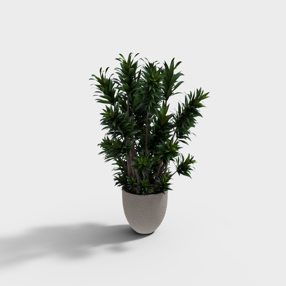 Vibrant Indoor Plant 3D Model – Realistic Low-Poly Design