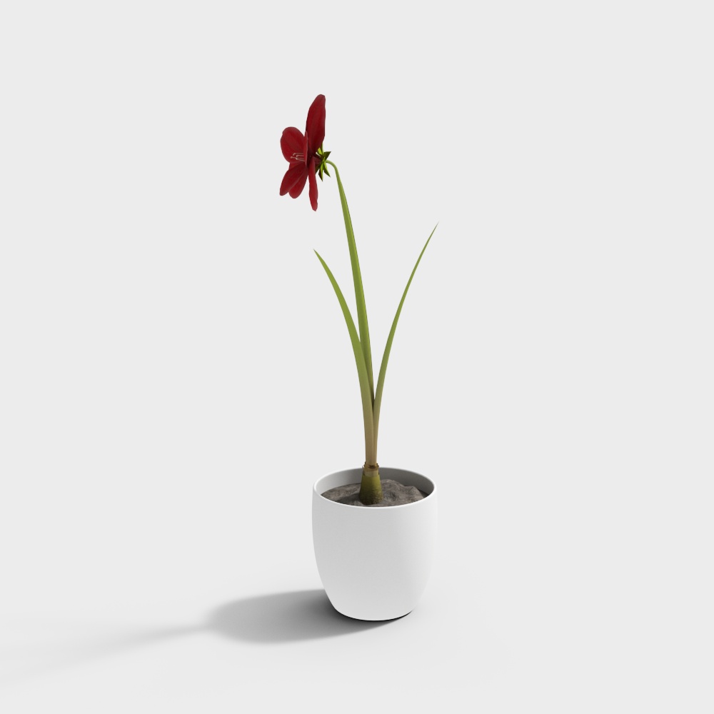 CB-90926 Flowers white vase