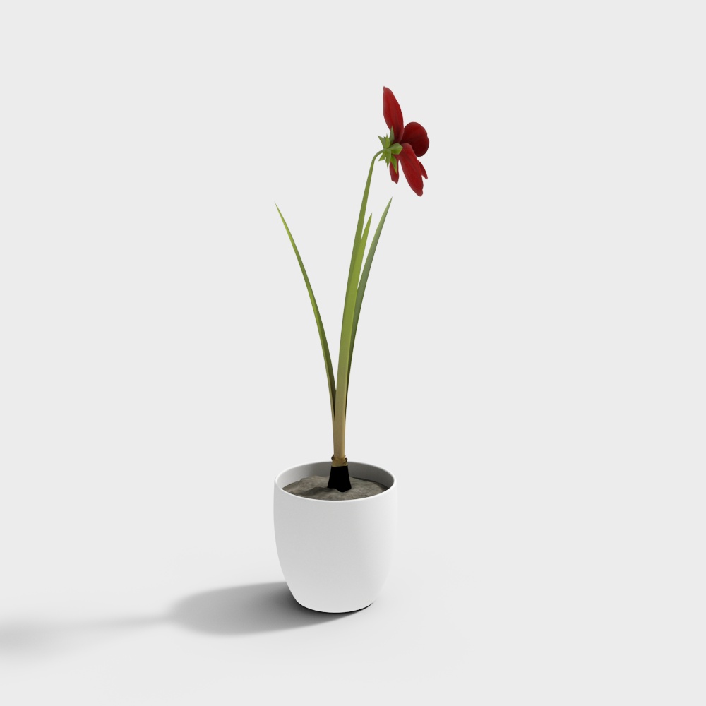 CJ-585231 Flowers white vase