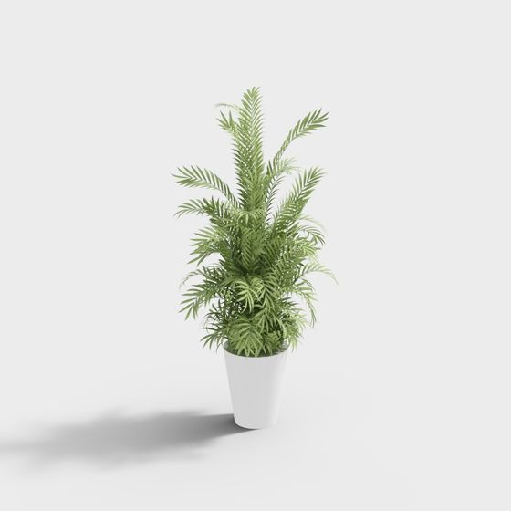 Realistic Indoor Green Plant 3D model