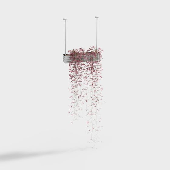 Hanging Plant 3D Model for Creative Designs