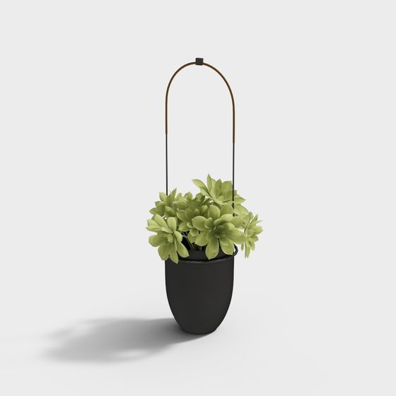 Stylish Hanging Planter 3D model