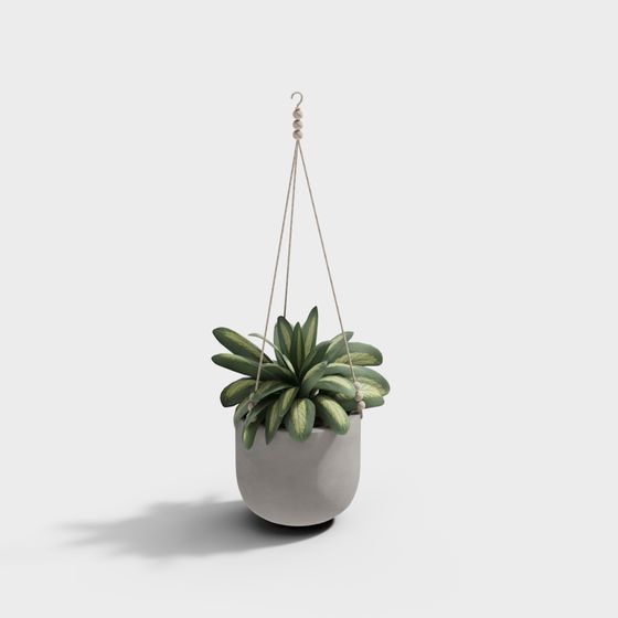 Hanging Planter 3D Model: A Breath of Nature