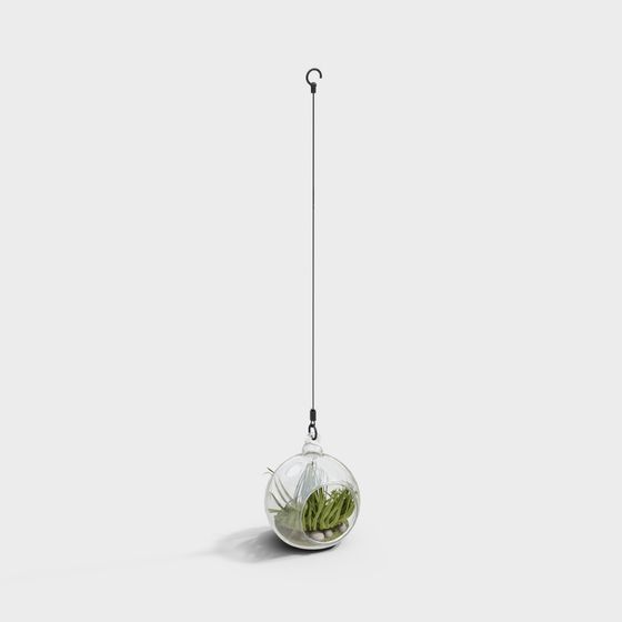Modern Bracketplant,Bracketplant,Black