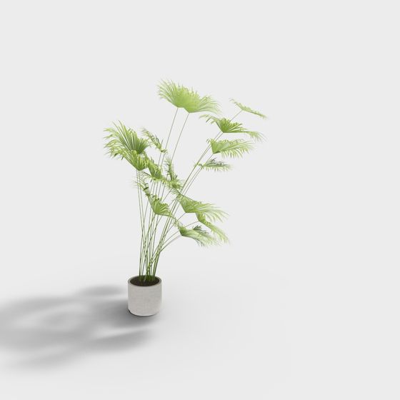 Stylish Indoor Plant 3D Model in Low Poly Design