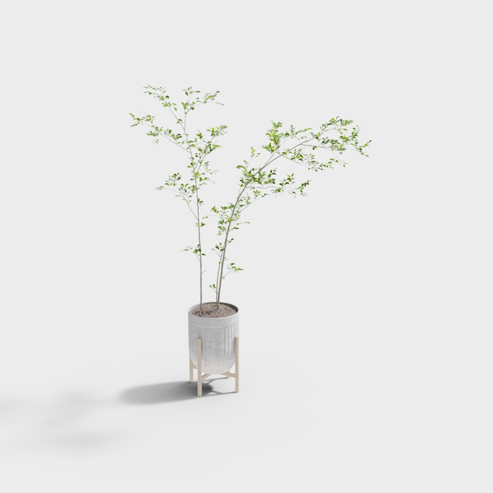 Modern potted plant 21-1