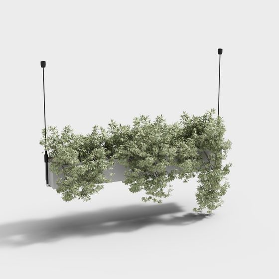 Hanging Planter Box 3D model for Modern Spaces