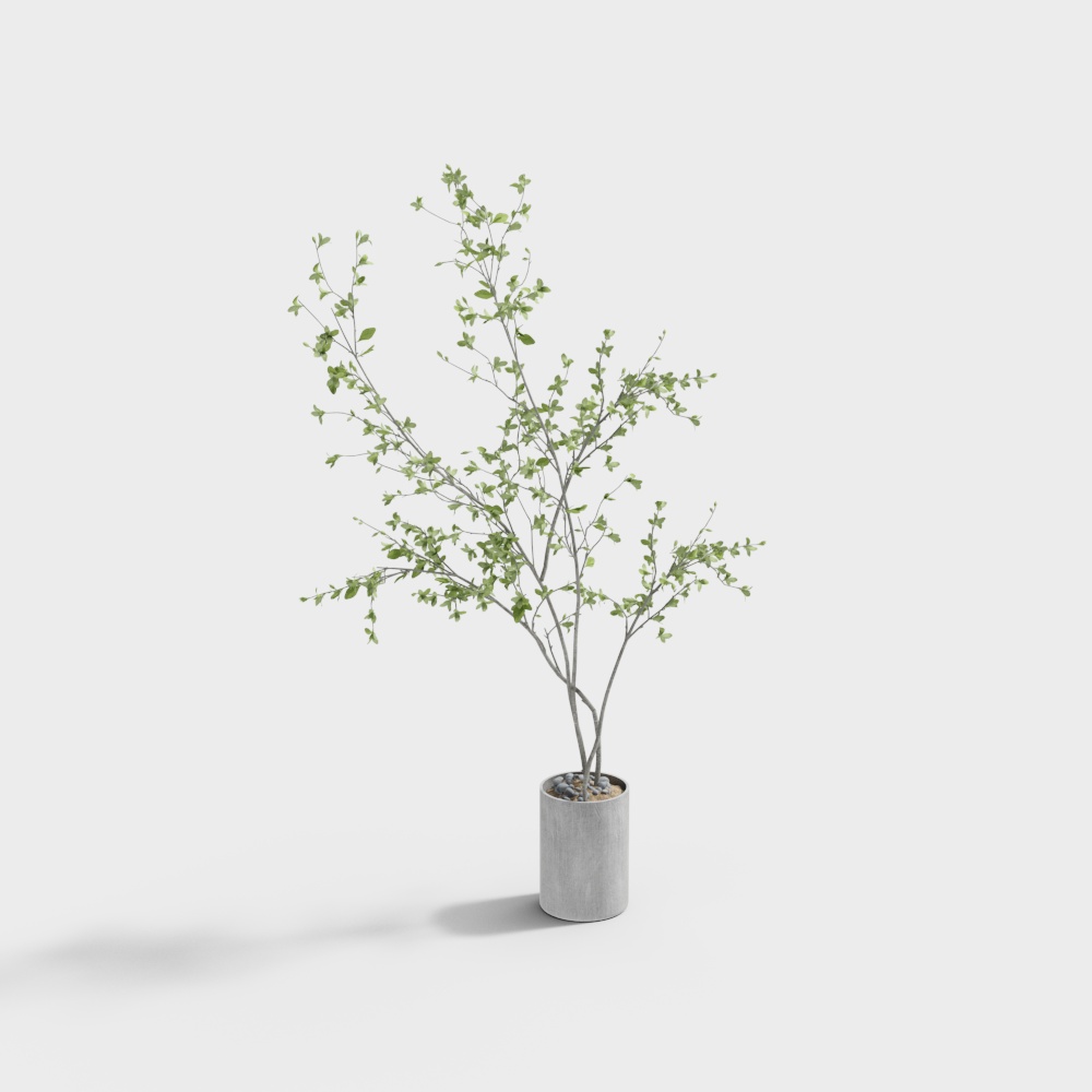 Plante en pot moderne 10-1