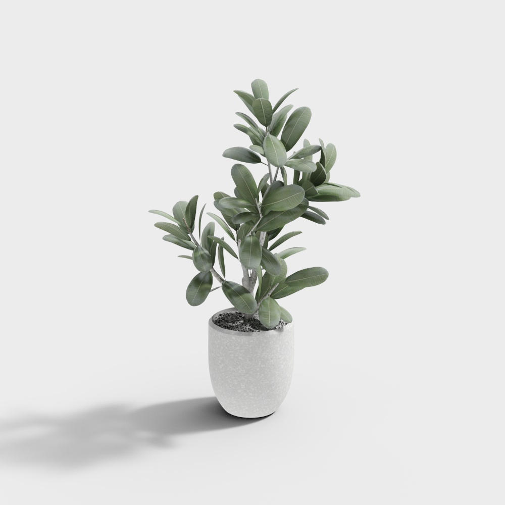 モダンな鉢植え植物 3-5