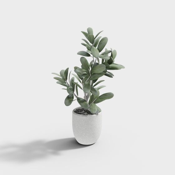 モダンな鉢植え植物 3-5