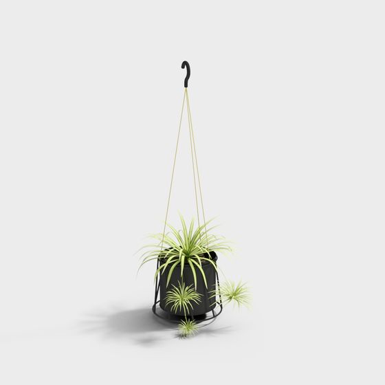 Hanging Plant 3D Model to Enhance Your Interiors