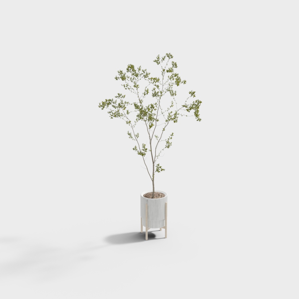 ดอกไม้กระถางโมเดิร์น 21-4