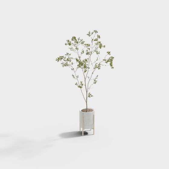 ดอกไม้กระถางโมเดิร์น 21-4