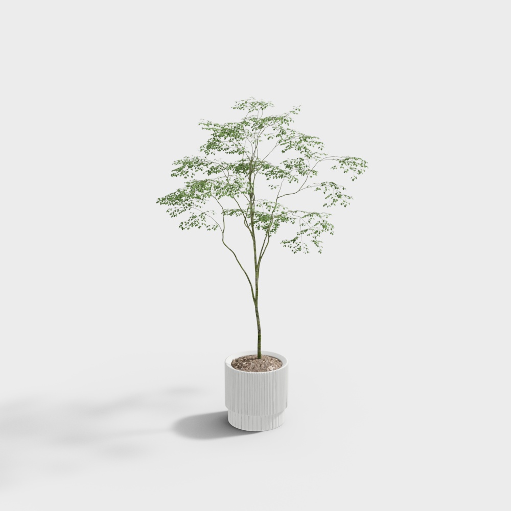 Plante en pot moderne 22-1